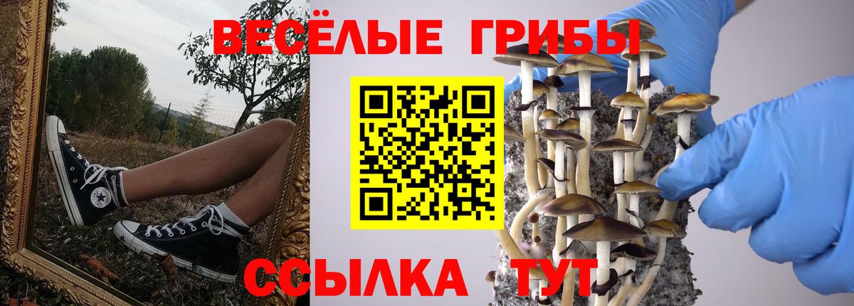 Галлюциногенные грибы Psilocybine cubensis  Галлюциногенные грибы MAGIC MUSHROOMS  Вход с VPN  Златоуст 